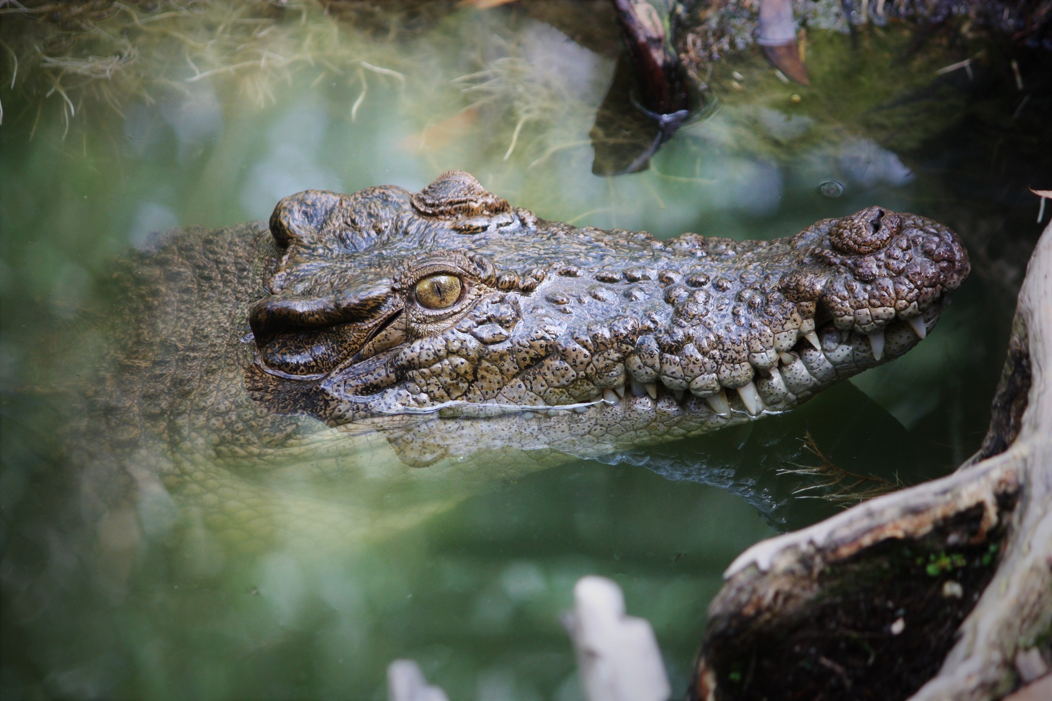 269050004_3047904518783720_5083616627035096071_n (1)